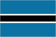 Botswana W logo
