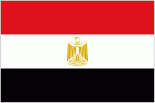 Egypt W logo