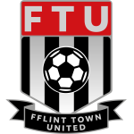 Flint City logo