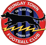 Bungay Town logo